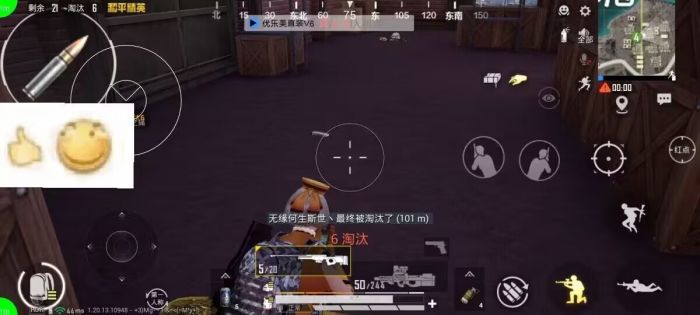 苹果和平精英画质辅助功能（和平精英画质辅助功能如何影响游戏体验？）